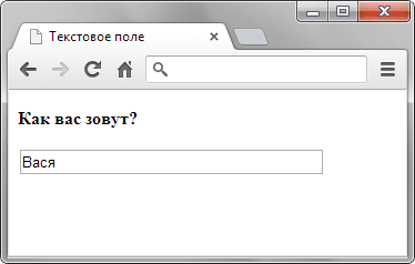 Вид текстового поля в браузере Chrome